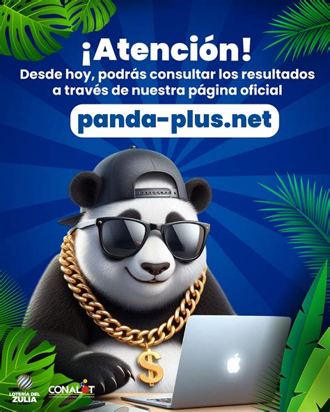 Panda Plus (@pandaplusoficial) • Instagram photos and videos.